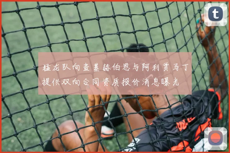 猛龙队向查基赫伯恩与阿利贾马丁提供双向合同资质报价消息曝光